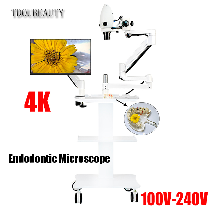 Teeth Whitening Video - 4K Dental Electron Microscope 20 Million