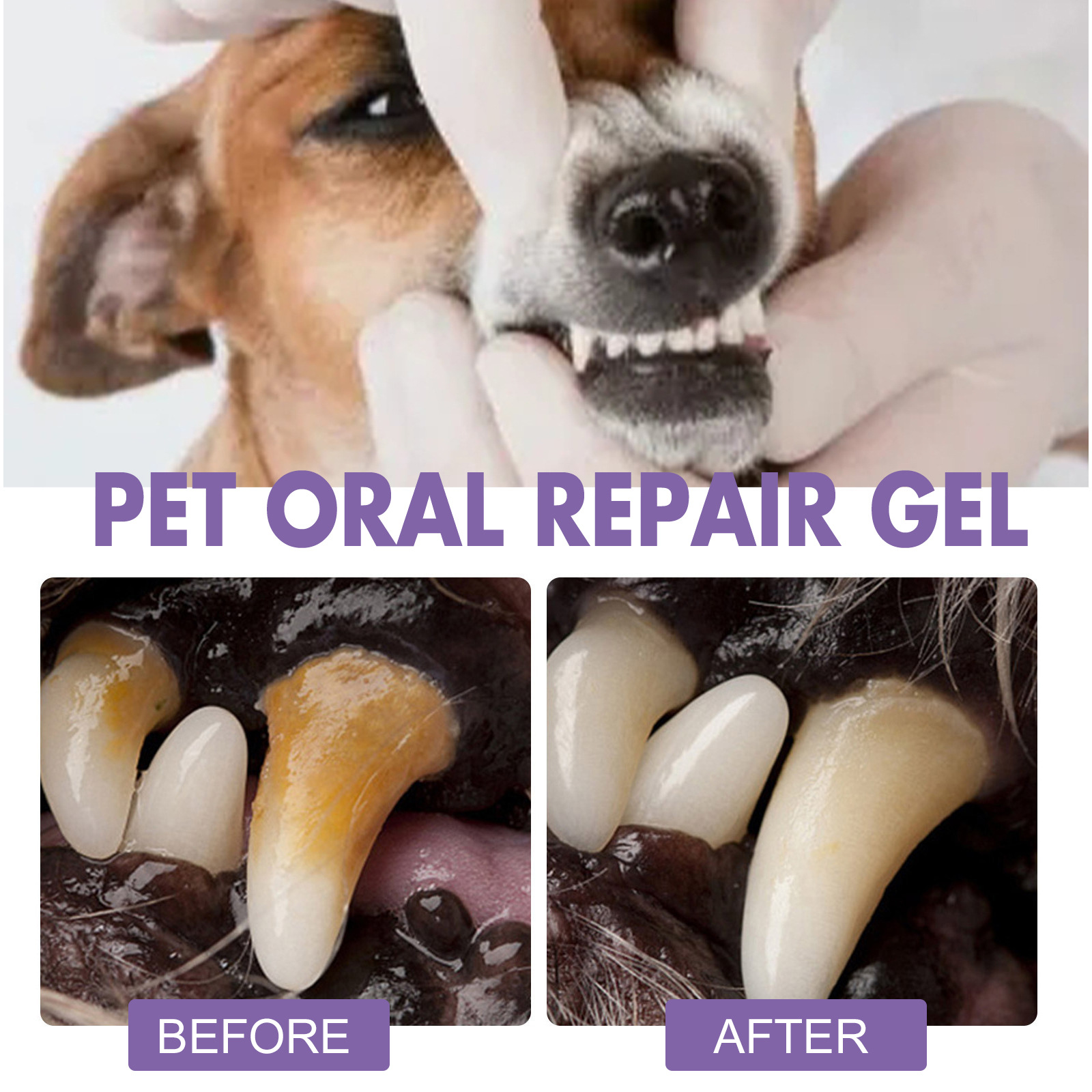 Pet Oral Repair Gel Puppy Tart - Teeth Whitening Foam ulasan dan harga